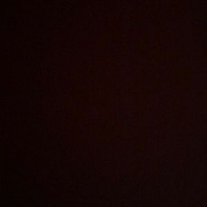 Meet your Posher, Shayna